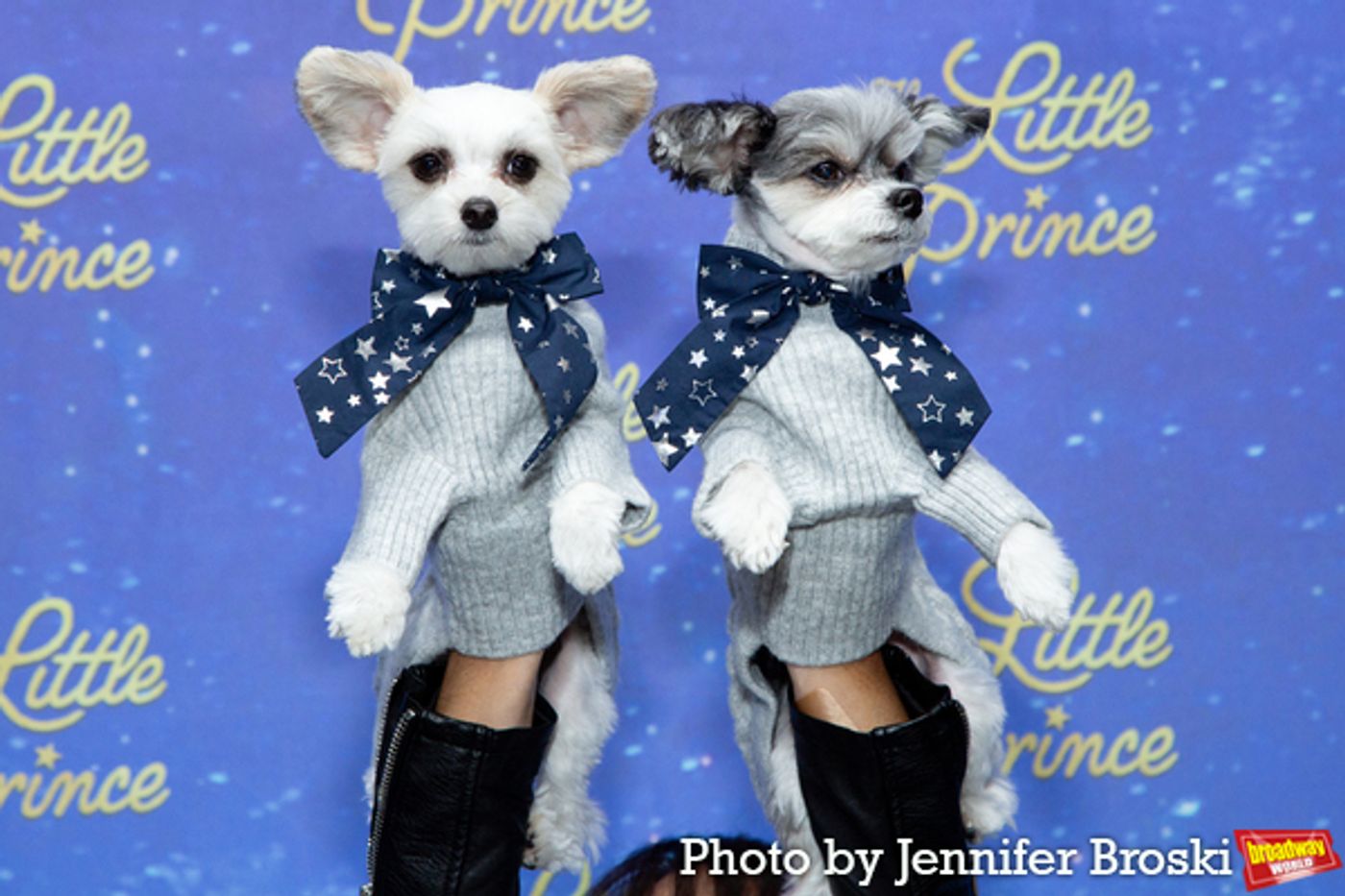 Photos: On the Opening Night Red Carpet For THE LITTLE PRINCE  Image