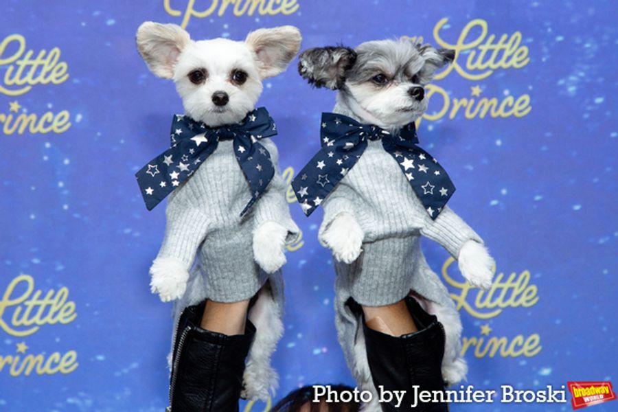 Photos: On the Opening Night Red Carpet For THE LITTLE PRINCE Image