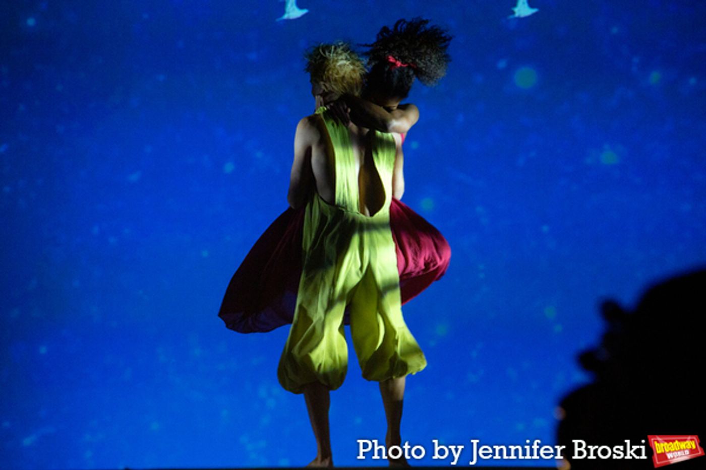 Photos: THE LITTLE PRINCE Takes Opening Night Bows  Image