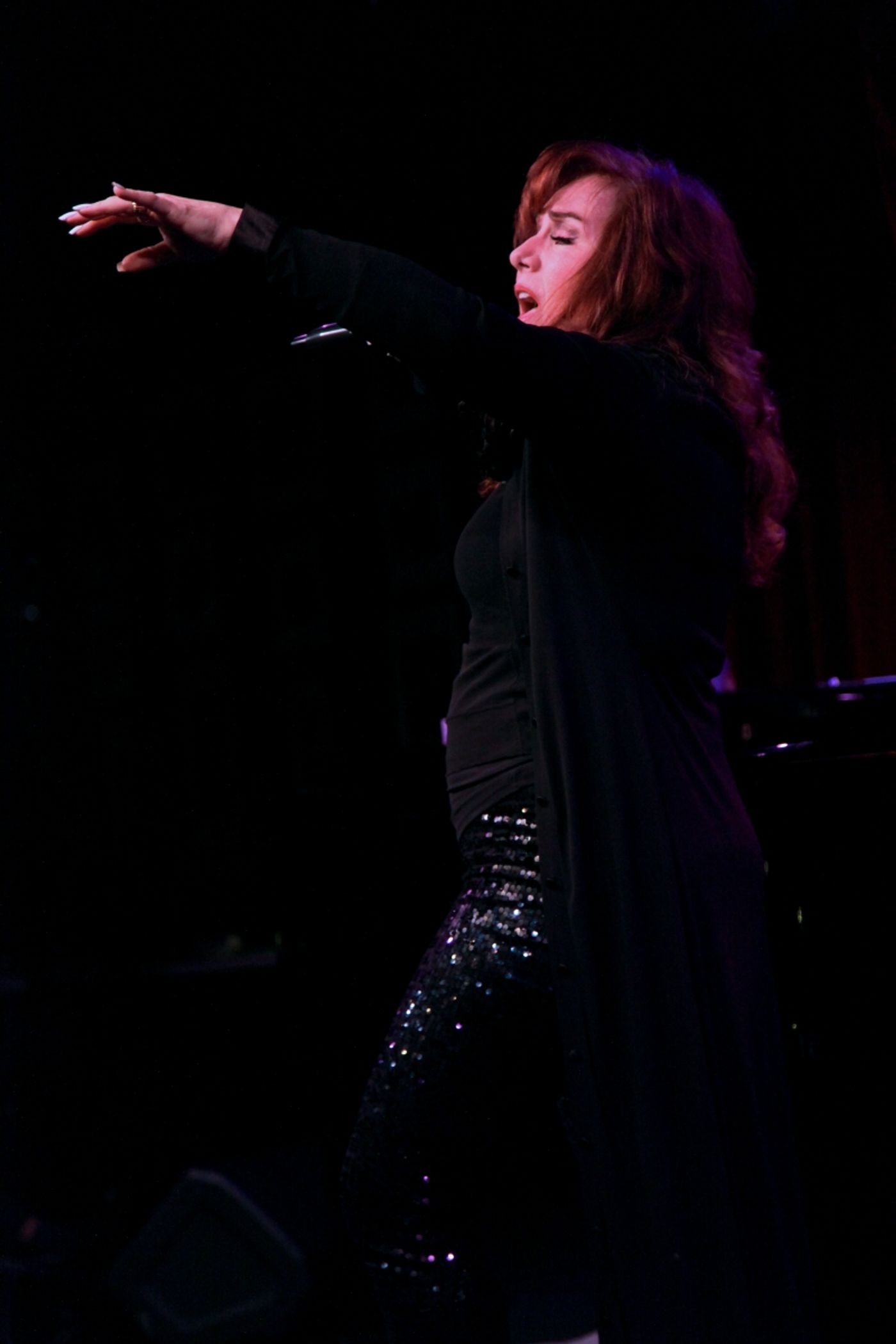 Review: DEBBIE GRAVITTE PLUS ONE... WITH STEPHEN SCHWARTZ Turns Birdland Into a Living Room  Image