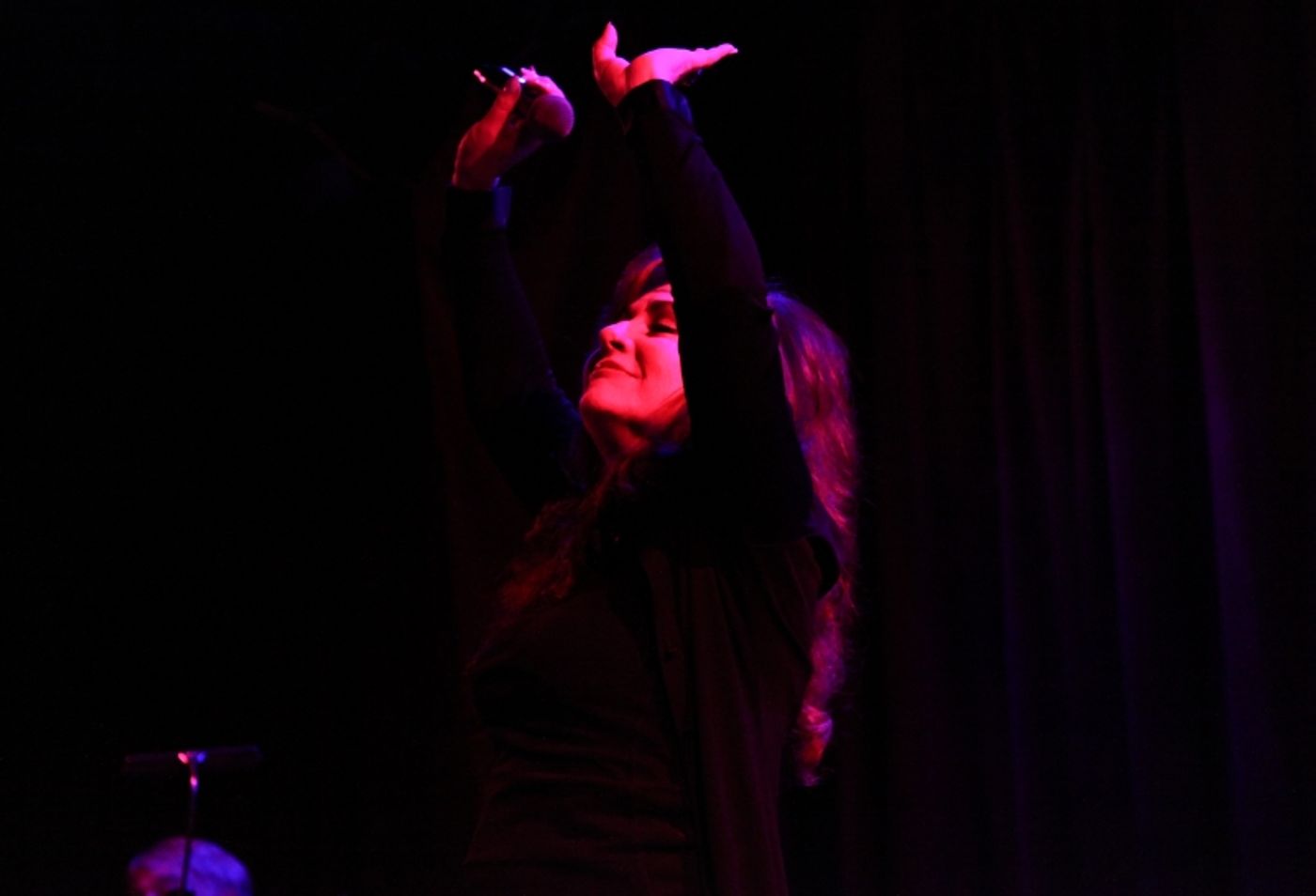 Review: DEBBIE GRAVITTE PLUS ONE... WITH STEPHEN SCHWARTZ Turns Birdland Into a Living Room  Image