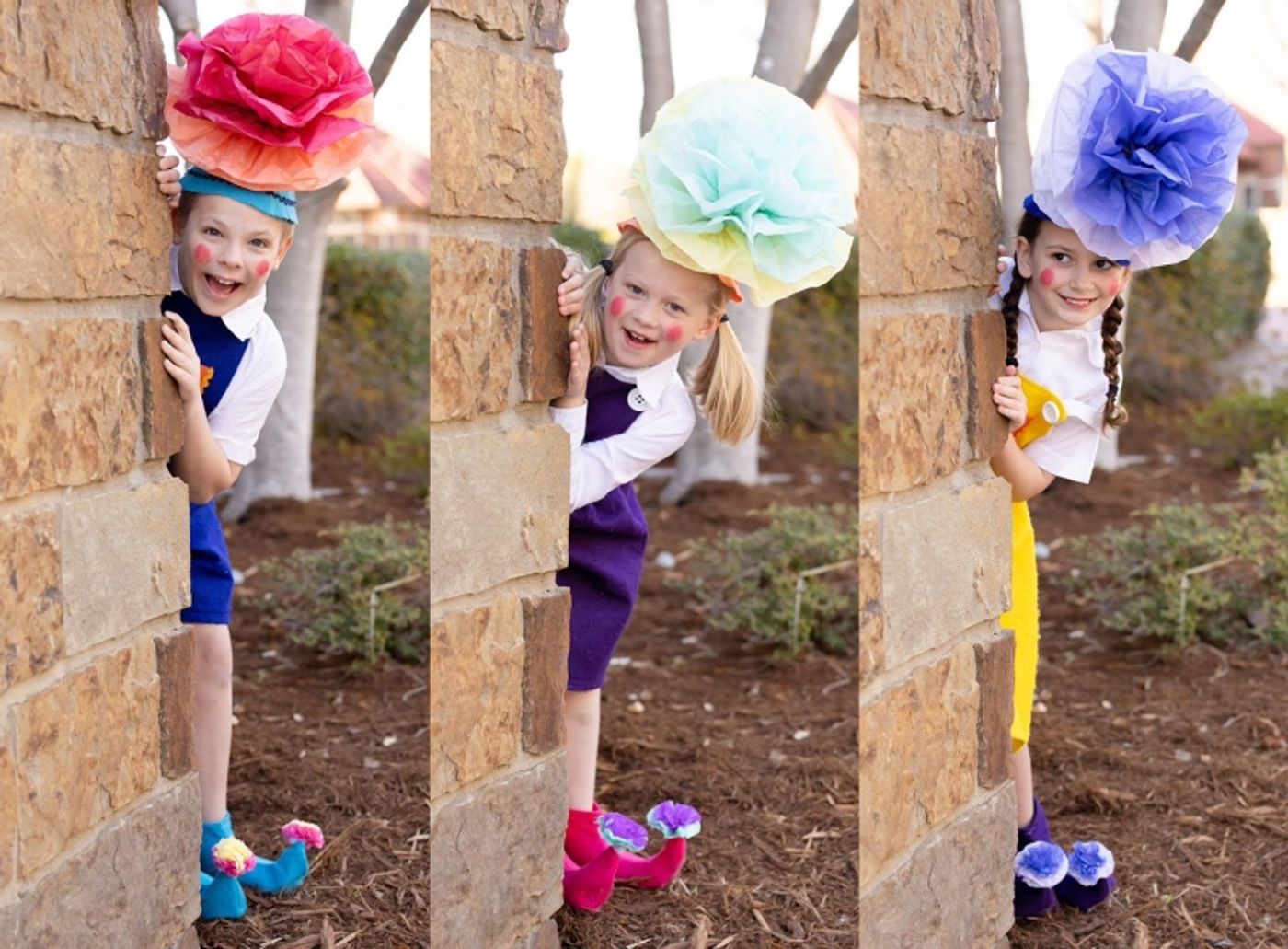 Review: THE WIZARD OF OZ: YOUTH EDITION at Red Curtain Theatre  Image