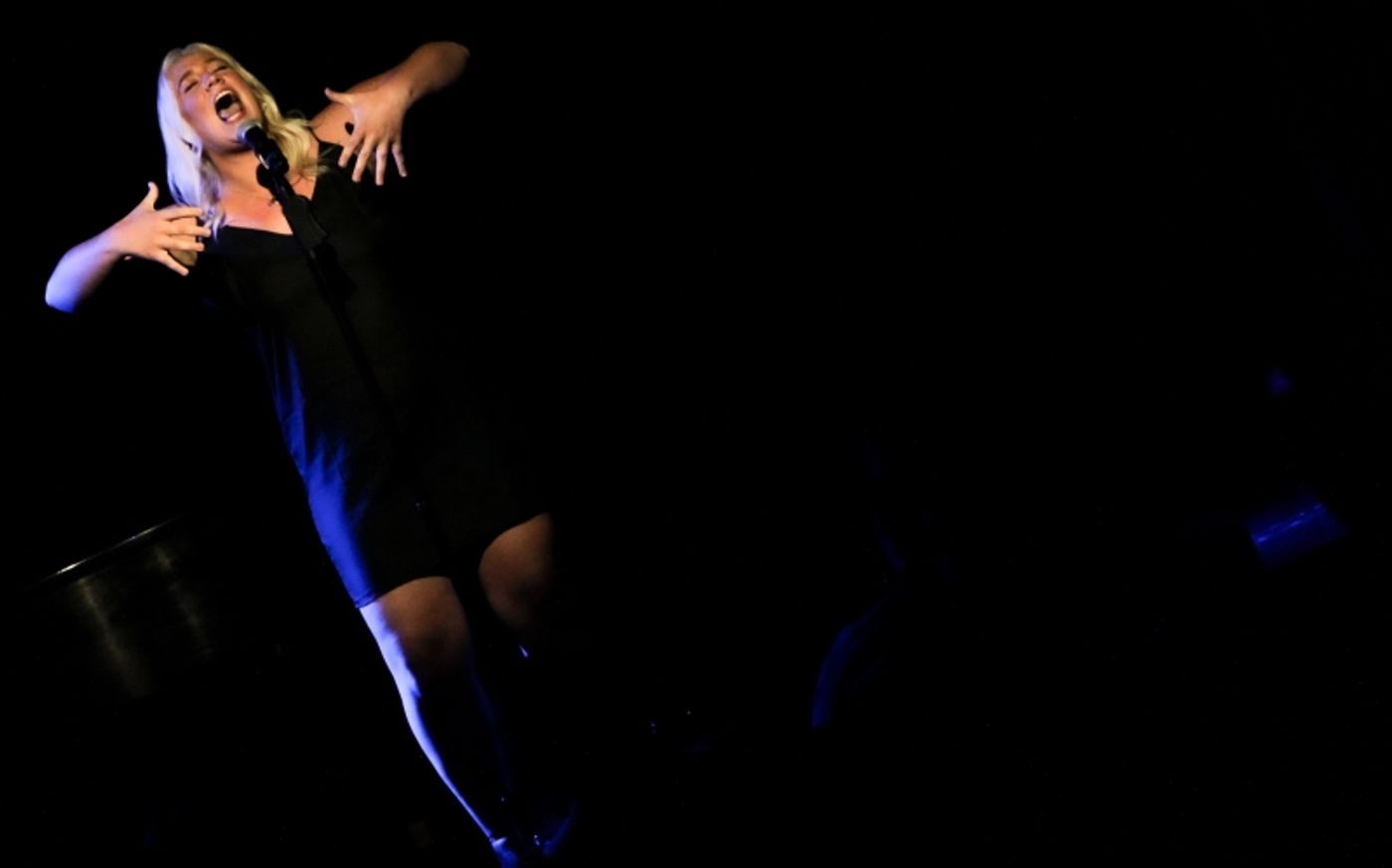 Review: It's A New Life For BOUND FOR BROADWAY at The Triad  Image