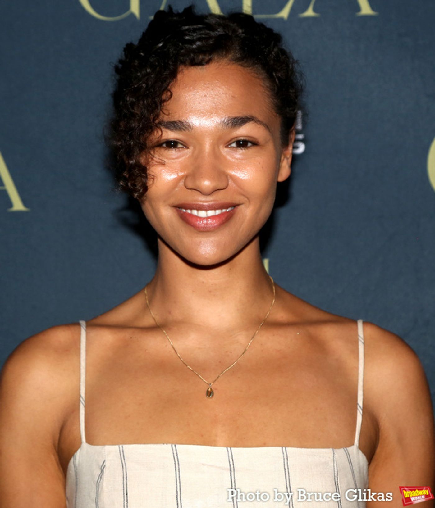 Photos: James McAvoy and Company Celebrate Opening Night of CYRANO DE BERGERAC at BAM  Image