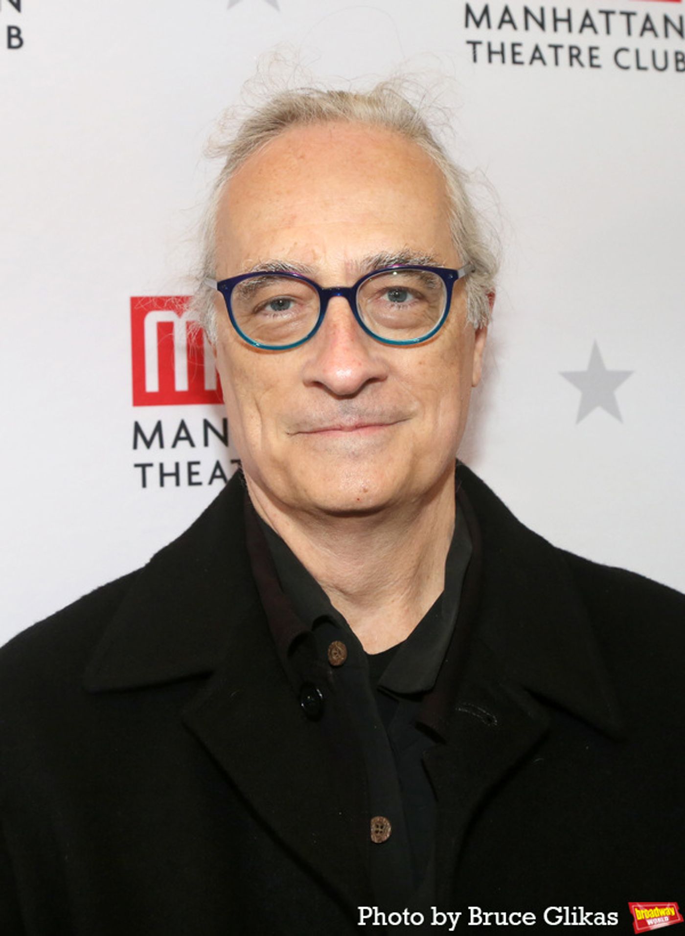 Photos: On the Opening Night Red Carpet for HOW I LEARNED TO DRIVE  Image