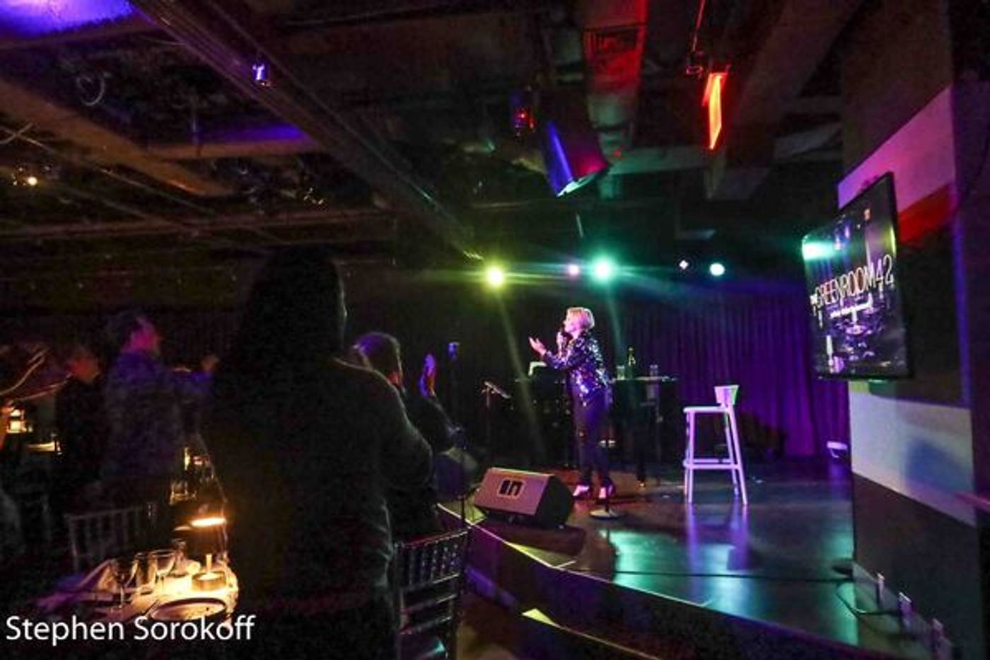 Photo Coverage: Anne Steele Brings THE SONG REMEMBERS WHEN to Green Room 42  Image