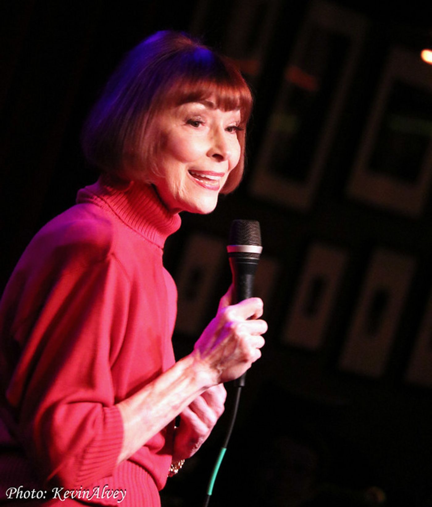 Photos: Karen Akers Makes Birdland Debut With New Concert WATER UNDER THE BRIDGE  Image