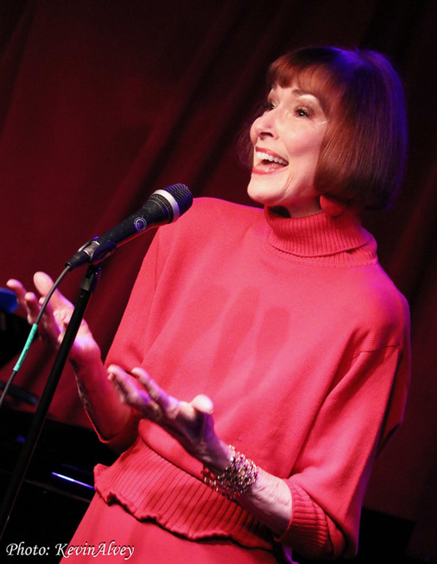 Photos: Karen Akers Makes Birdland Debut With New Concert WATER UNDER THE BRIDGE  Image