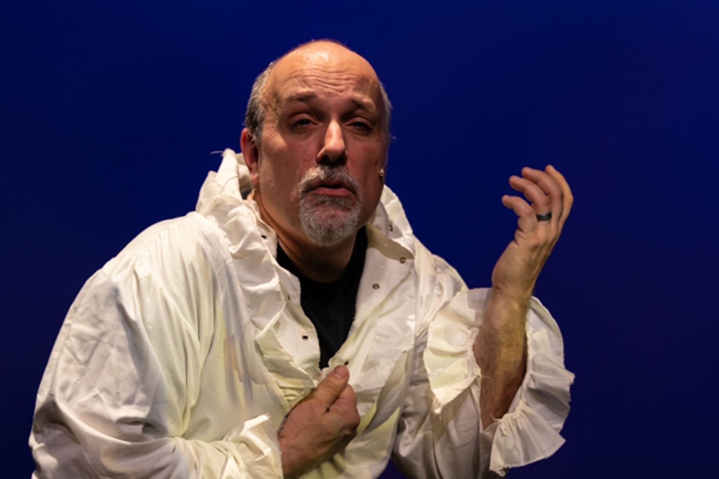 Photos: First look at Evolution Theatre Co's THE MUSICAL OF MUSICALS, THE MUSICAL  Image