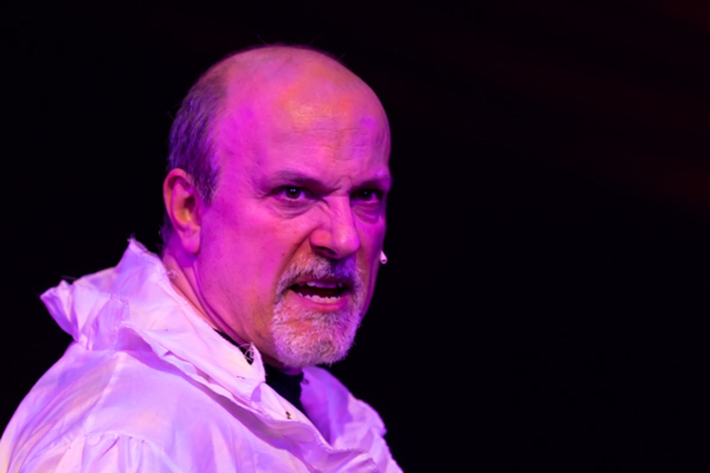 Photos: First look at Evolution Theatre Co's THE MUSICAL OF MUSICALS, THE MUSICAL  Image