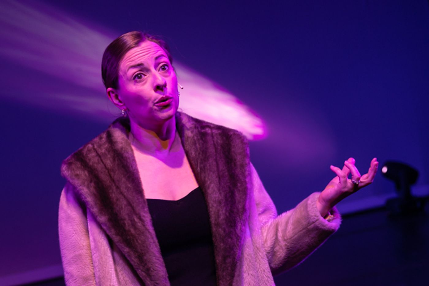 Photos: First look at Evolution Theatre Co's THE MUSICAL OF MUSICALS, THE MUSICAL  Image