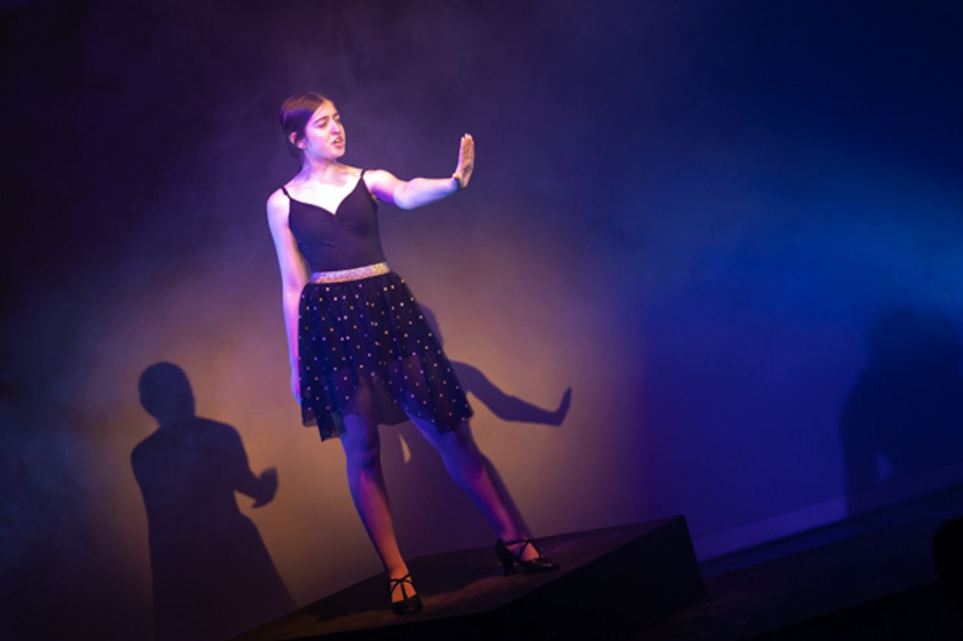 Photos: First look at Evolution Theatre Co's THE MUSICAL OF MUSICALS, THE MUSICAL  Image