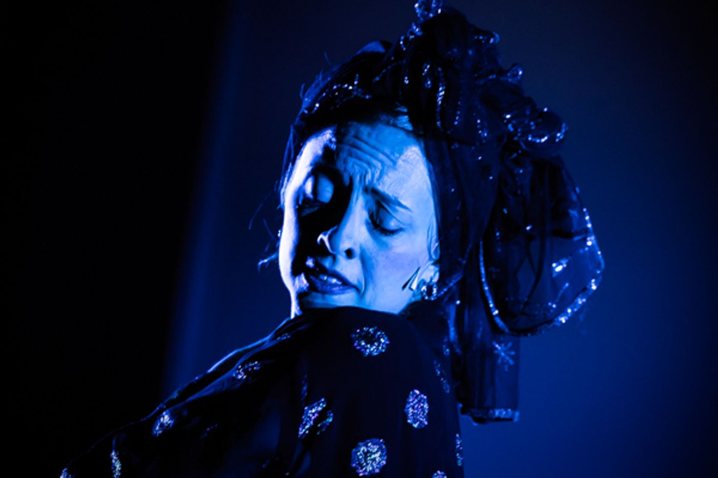 Photos: First look at Evolution Theatre Co's THE MUSICAL OF MUSICALS, THE MUSICAL  Image