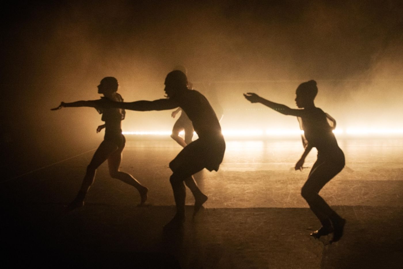 Review: GALLIM Dance Company's BLUSH is Anything But Shy  Image