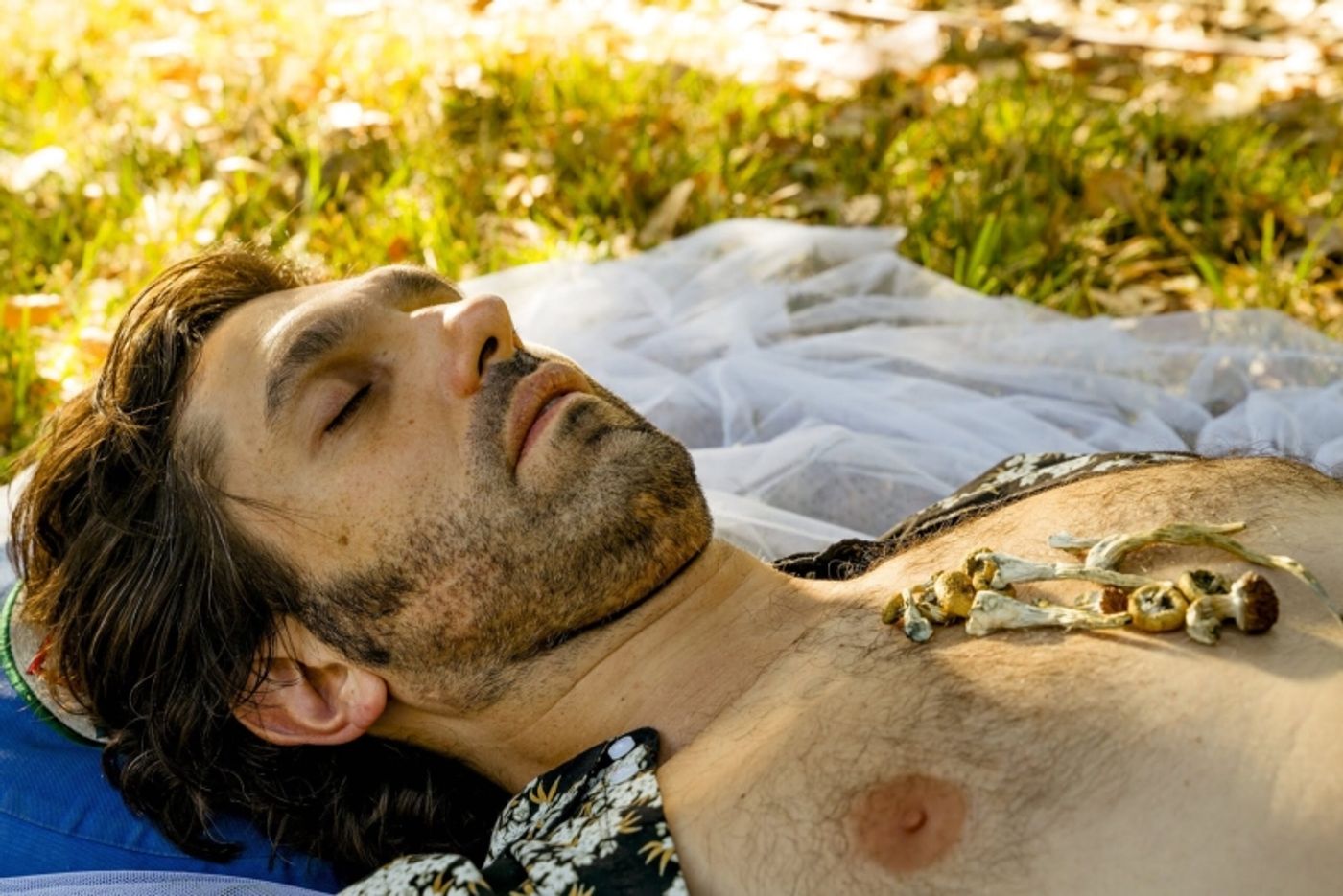 Interview: Adam Strauss of THE MUSHROOM CURE & ADAM STRAUSS IS NOT UNHAPPY at The Marsh Berkeley Embraces Radical Uncertainty  Image