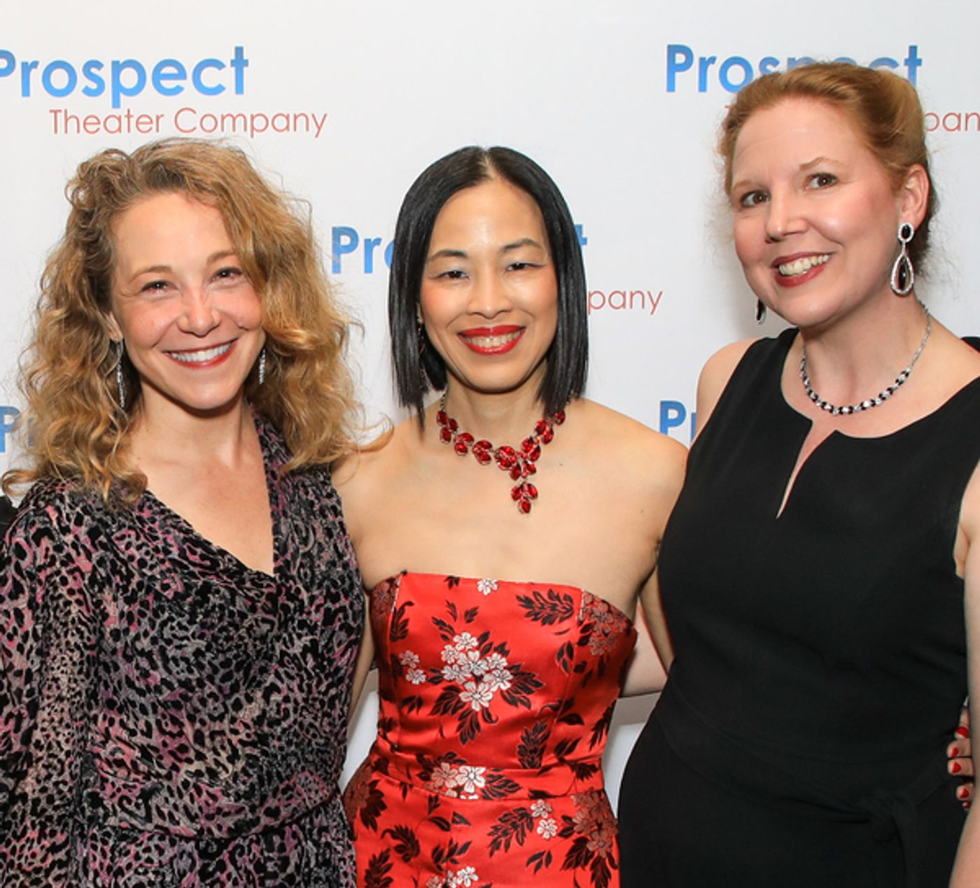 Photos: See Jose Llana, Anika Larsen & More at Prospect Theater Company's Spring Gala  Image