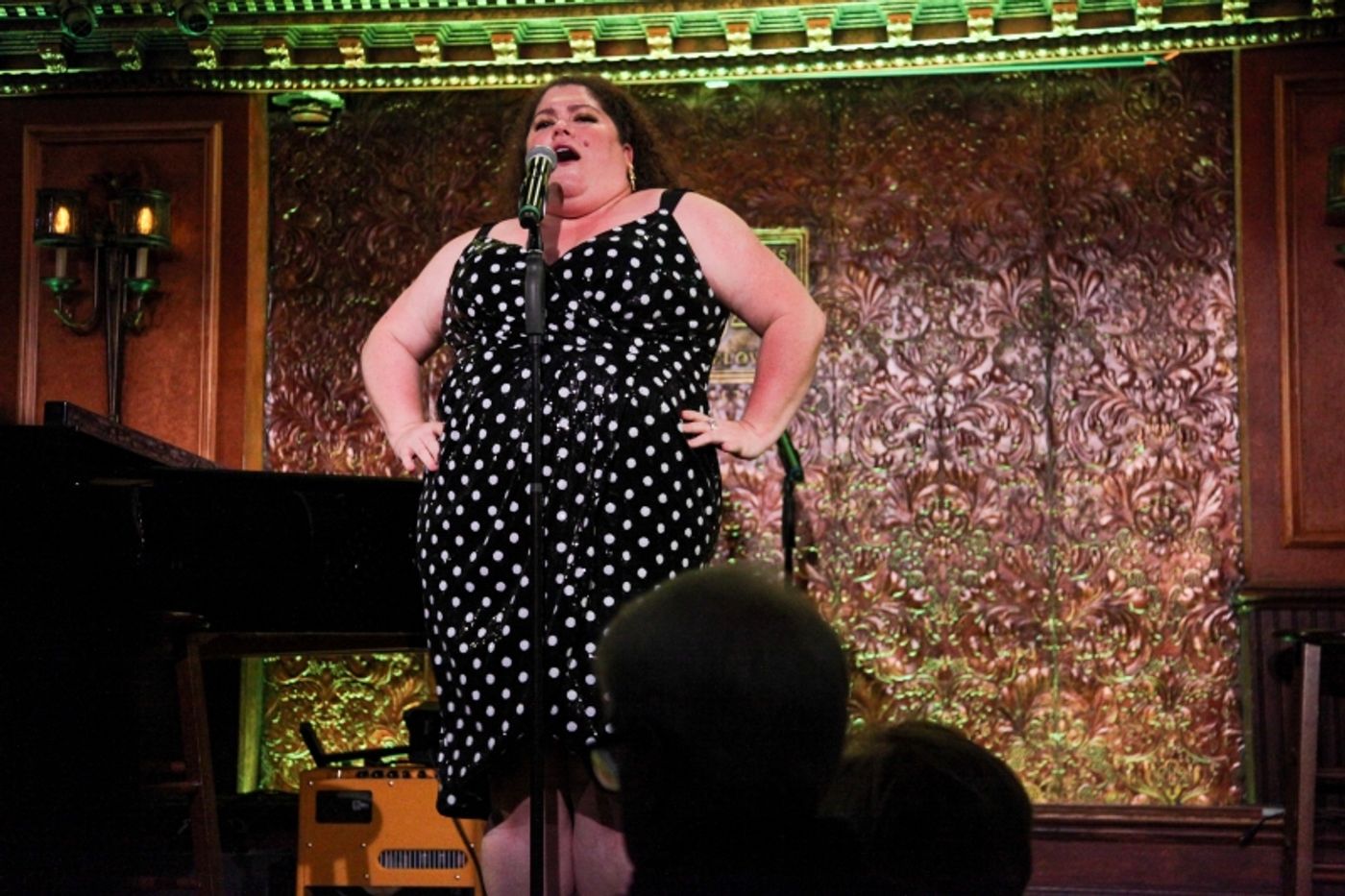 Photos: Robert W. Schneider partners with Sheet Music Man Michael Lavine & A Roster Of Broadway Veterans For 10 YEARS OF MUSICAL THEATRE HISTORY At 54 Below  Image