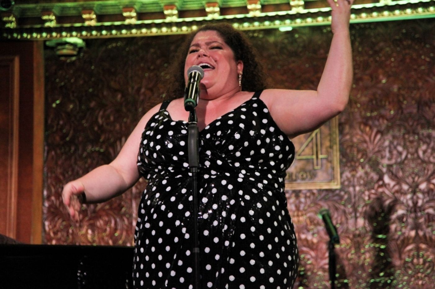 Photos: Robert W. Schneider partners with Sheet Music Man Michael Lavine & A Roster Of Broadway Veterans For 10 YEARS OF MUSICAL THEATRE HISTORY At 54 Below  Image