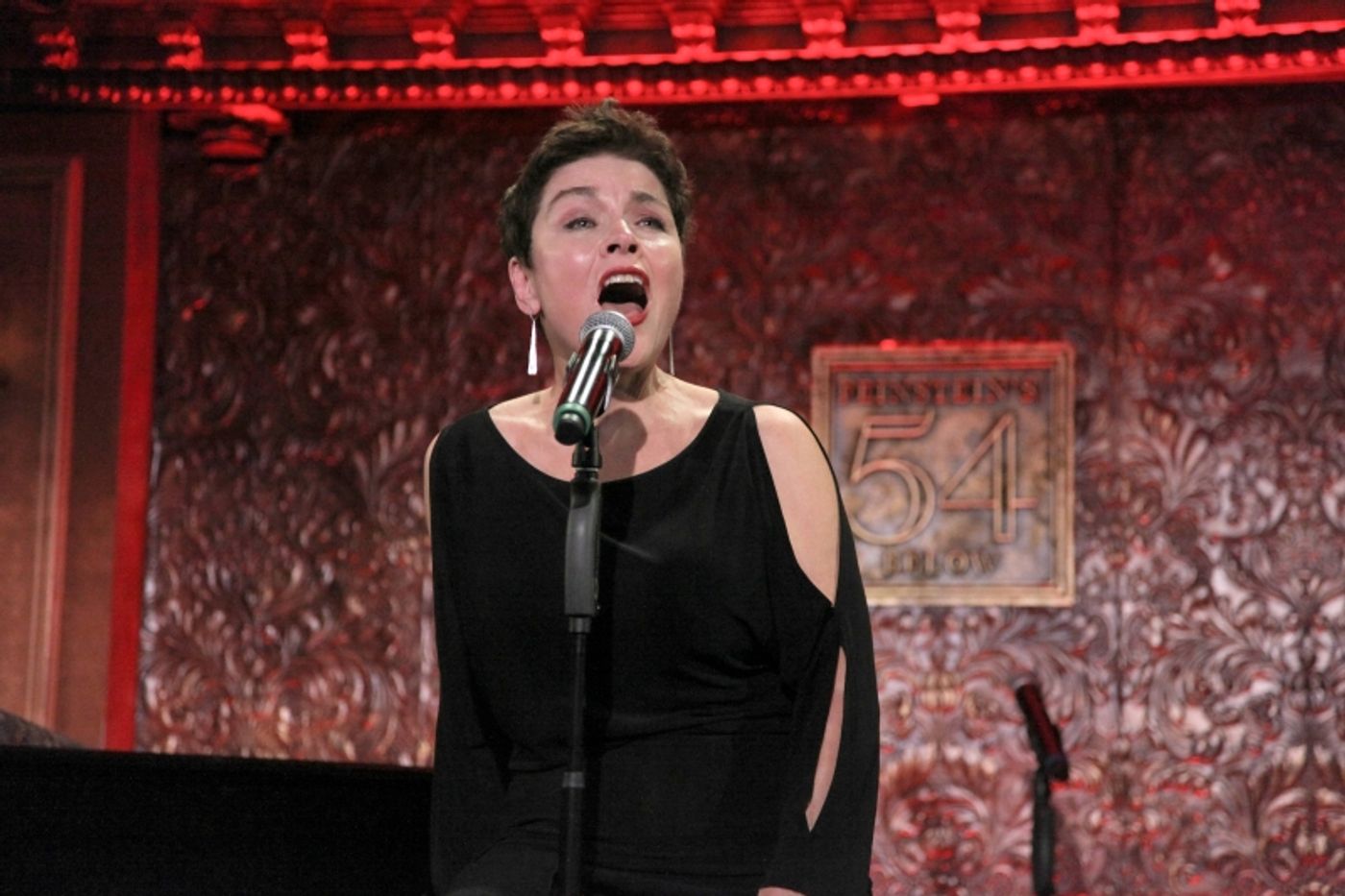 Photos: Robert W. Schneider partners with Sheet Music Man Michael Lavine & A Roster Of Broadway Veterans For 10 YEARS OF MUSICAL THEATRE HISTORY At 54 Below  Image