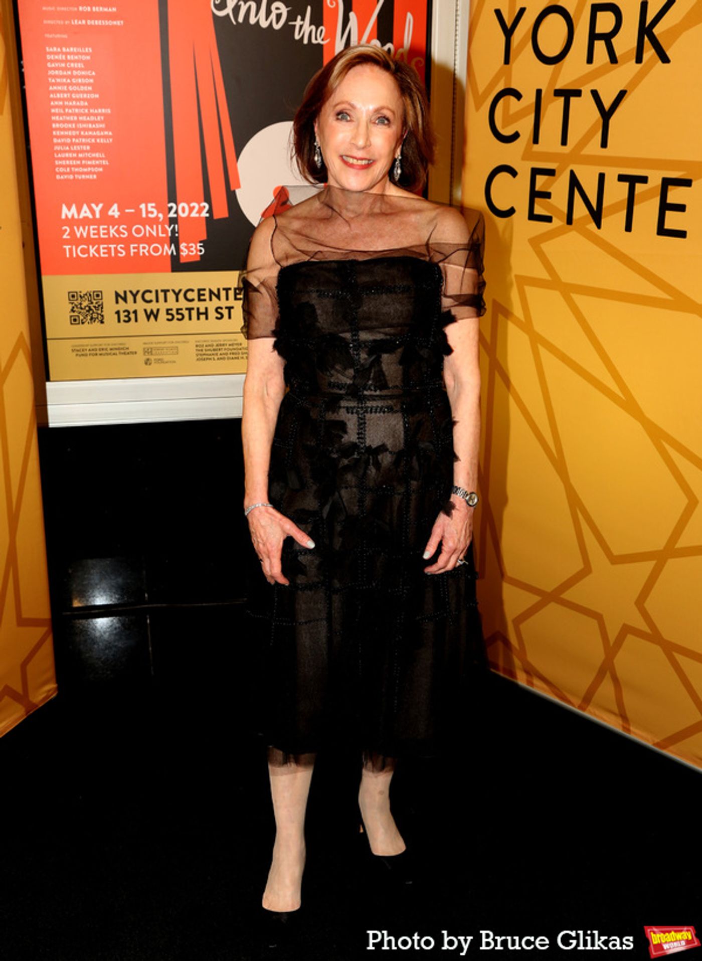 Photos: On the Opening Night Red Carpet for Encores! INTO THE WOODS  Image