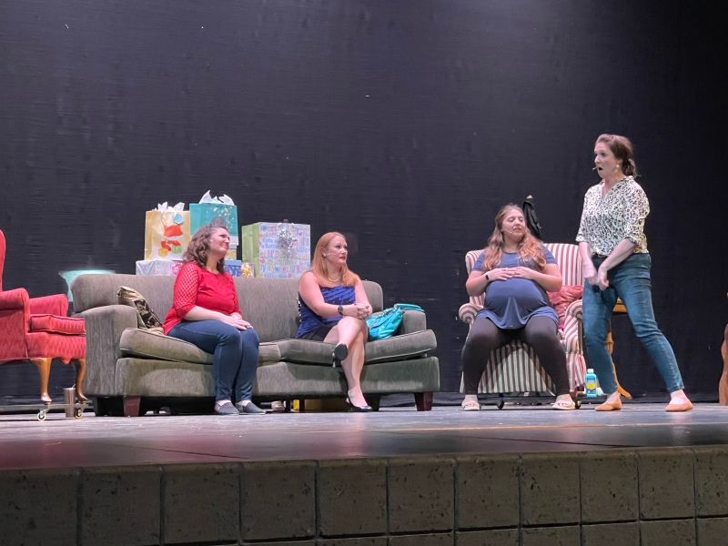 Review: MOTHERHOOD THE MUSICAL at Lion Heart Productions  Image
