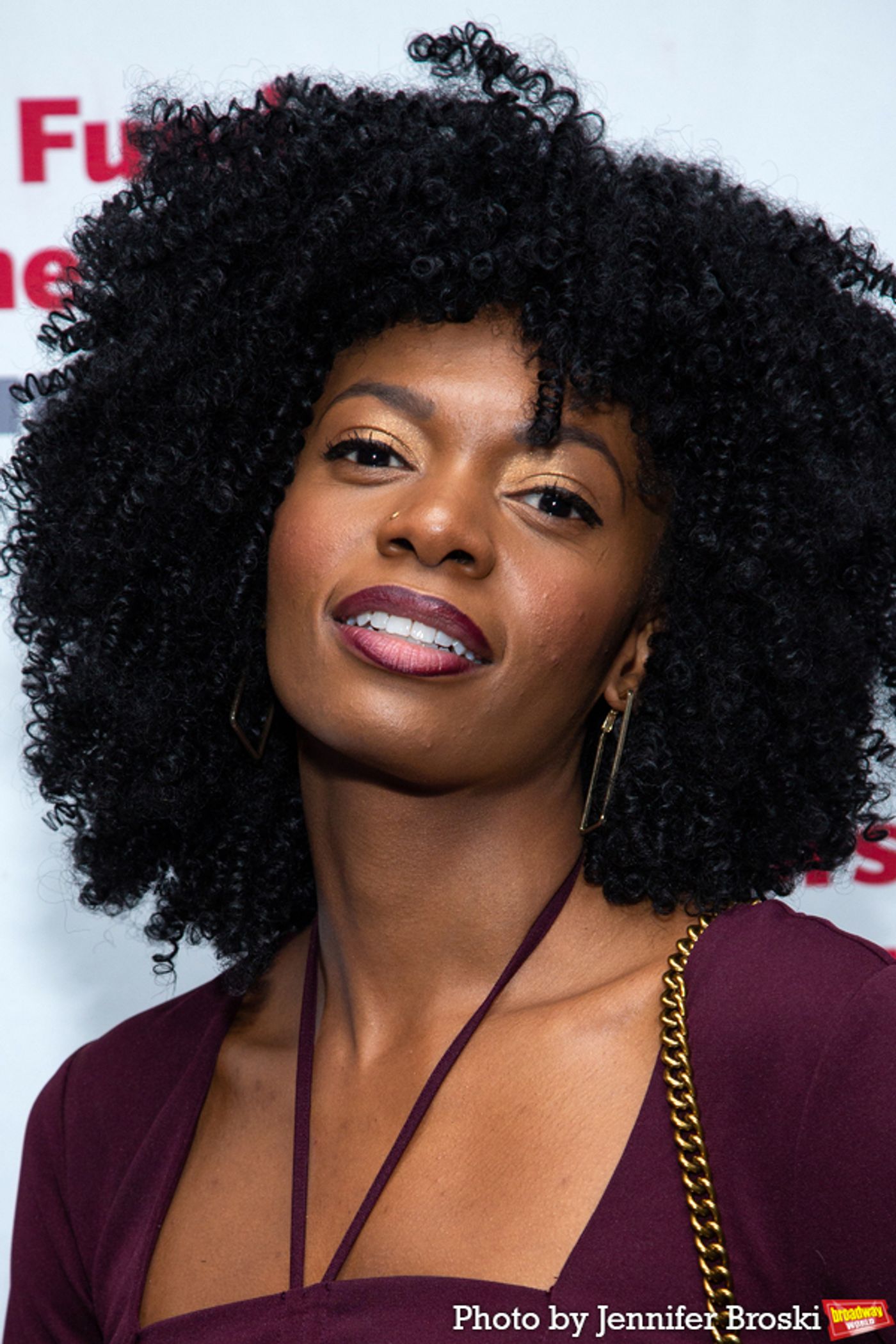 Photos: On the Red Carpet at The Actors Fund Gala  Image