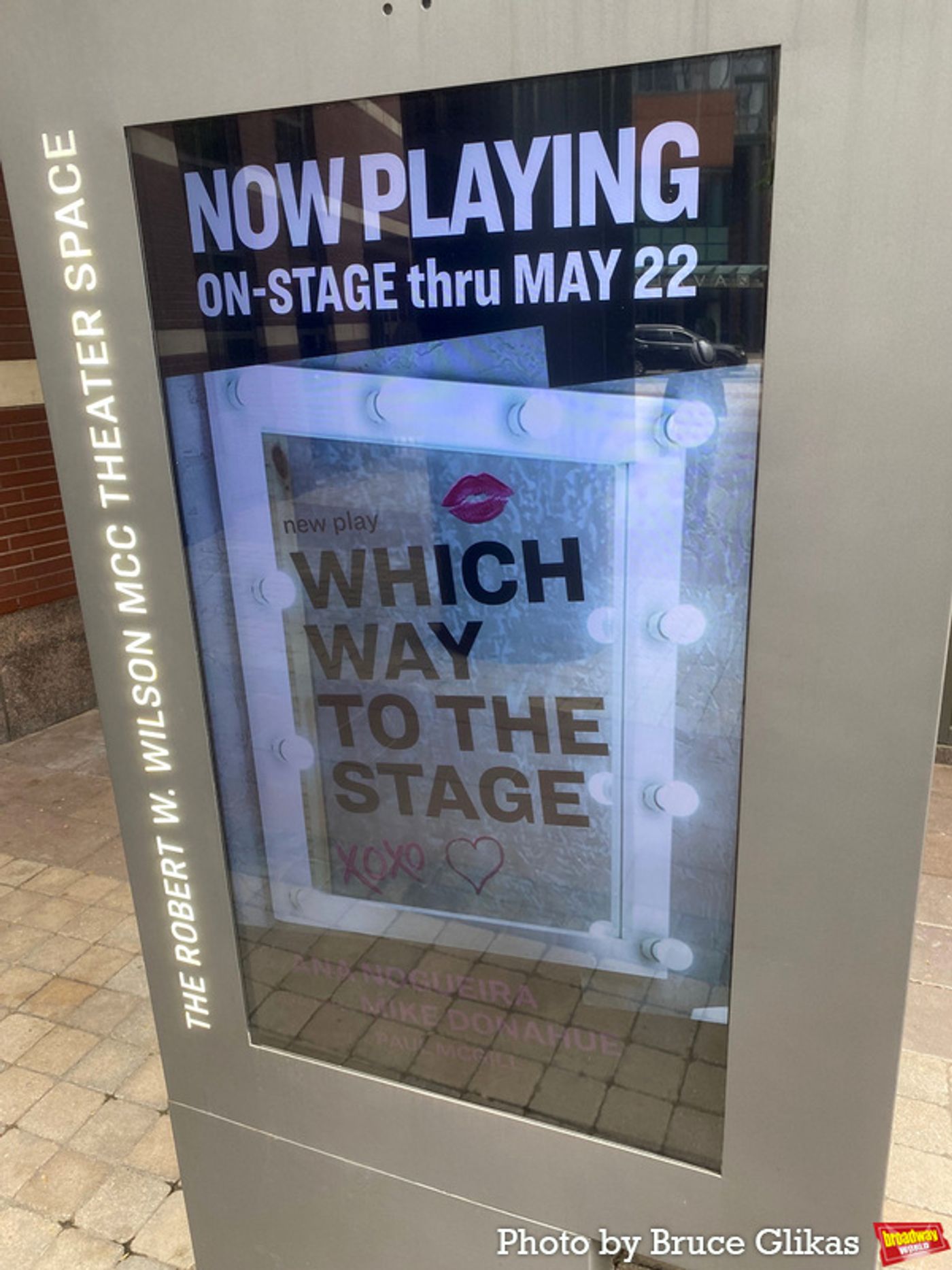 Photos: On the Red Carpet for Opening Night of MCC's WHICH WAY TO THE STAGE  Image