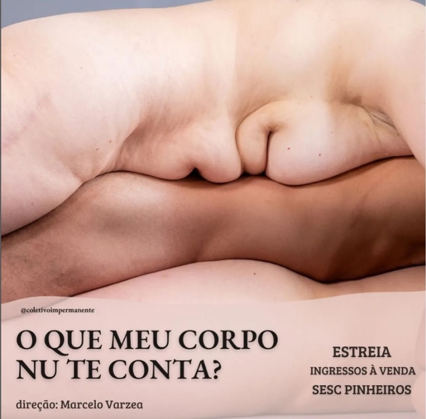 BWW Previews: Dealing with Universal Themes COLETIVO IMPERMANENTE Premieres O QUE MEU CORPO NU TE CONTA?  Image