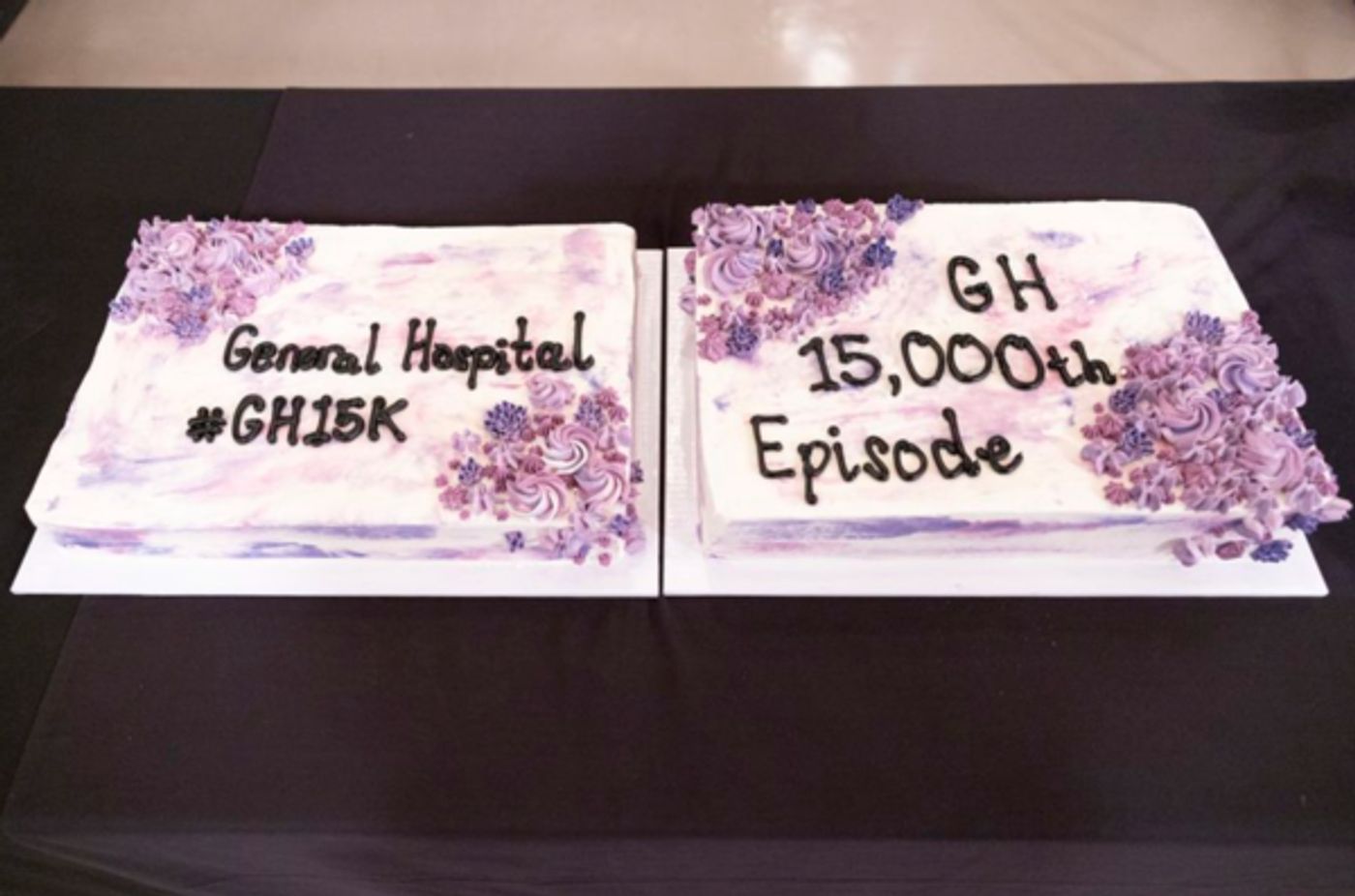Photos: GENERAL HOSPITAL Celebrates 15,000th Episode Milestone  Image