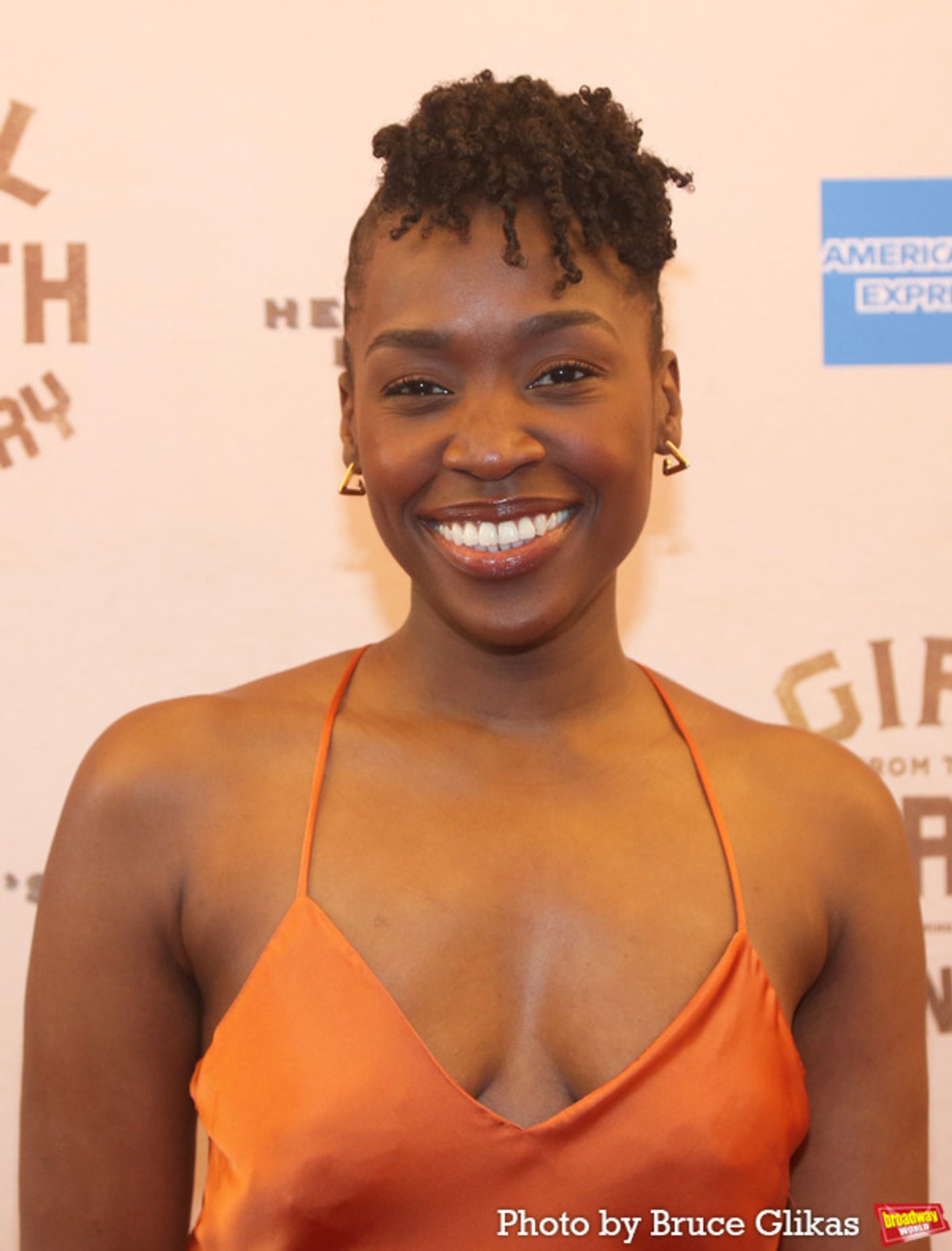 Photos: On the Red Carpet of GIRL FROM THE NORTH COUNTRY Re-Opening Night Gala  Image