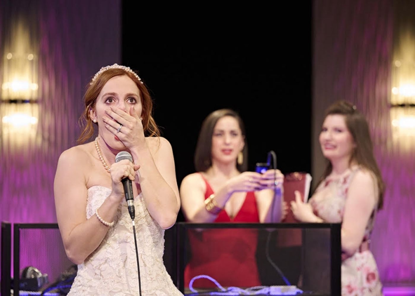 Review: ZOEY'S PERFECT WEDDING at TheaterWorks Hartford  Image