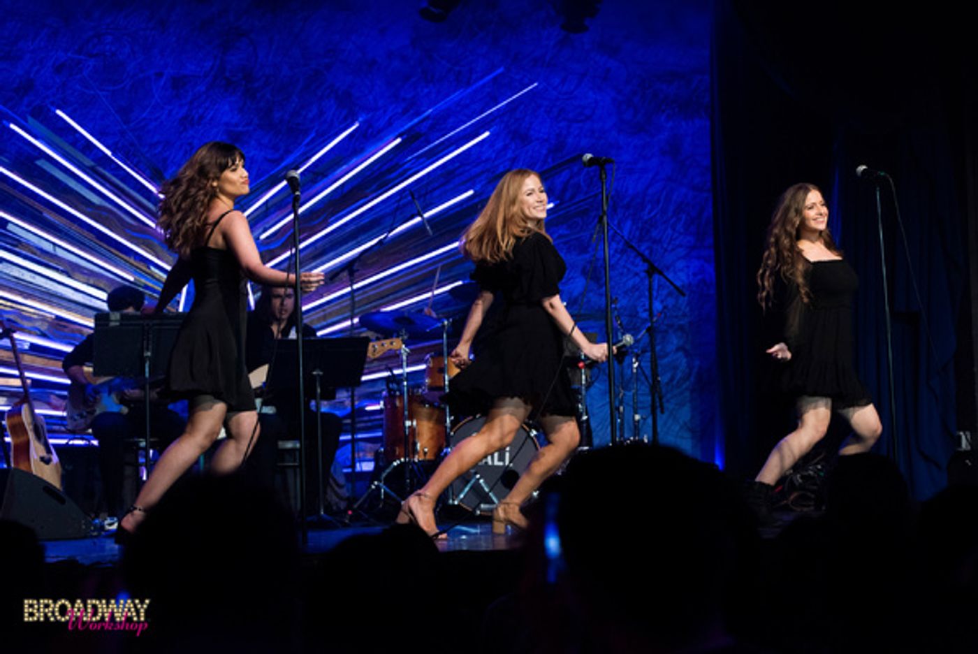 Photos: See Sierra Boggess, Andrew Barth Feldman & More at BROADWAY WORKSHOP LIVE at Sony Hall  Image