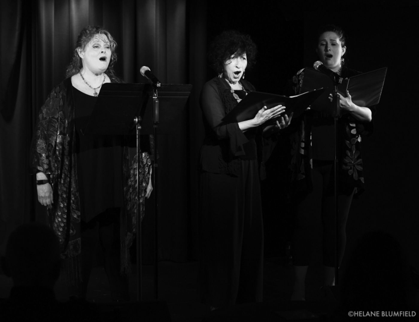 Photos: BLUE WAVE REUNION 2022: SAVE OUR DEMOCRACY FUNDRAISER at The Laurie Beechman Theatre by Helane Blumfield Photos: BLUE WAVE REUNION 2022: SAVE OUR DEMOCRACY FUNDRAISER at The Laurie Beechman Theatre by Helane Blumfield Image