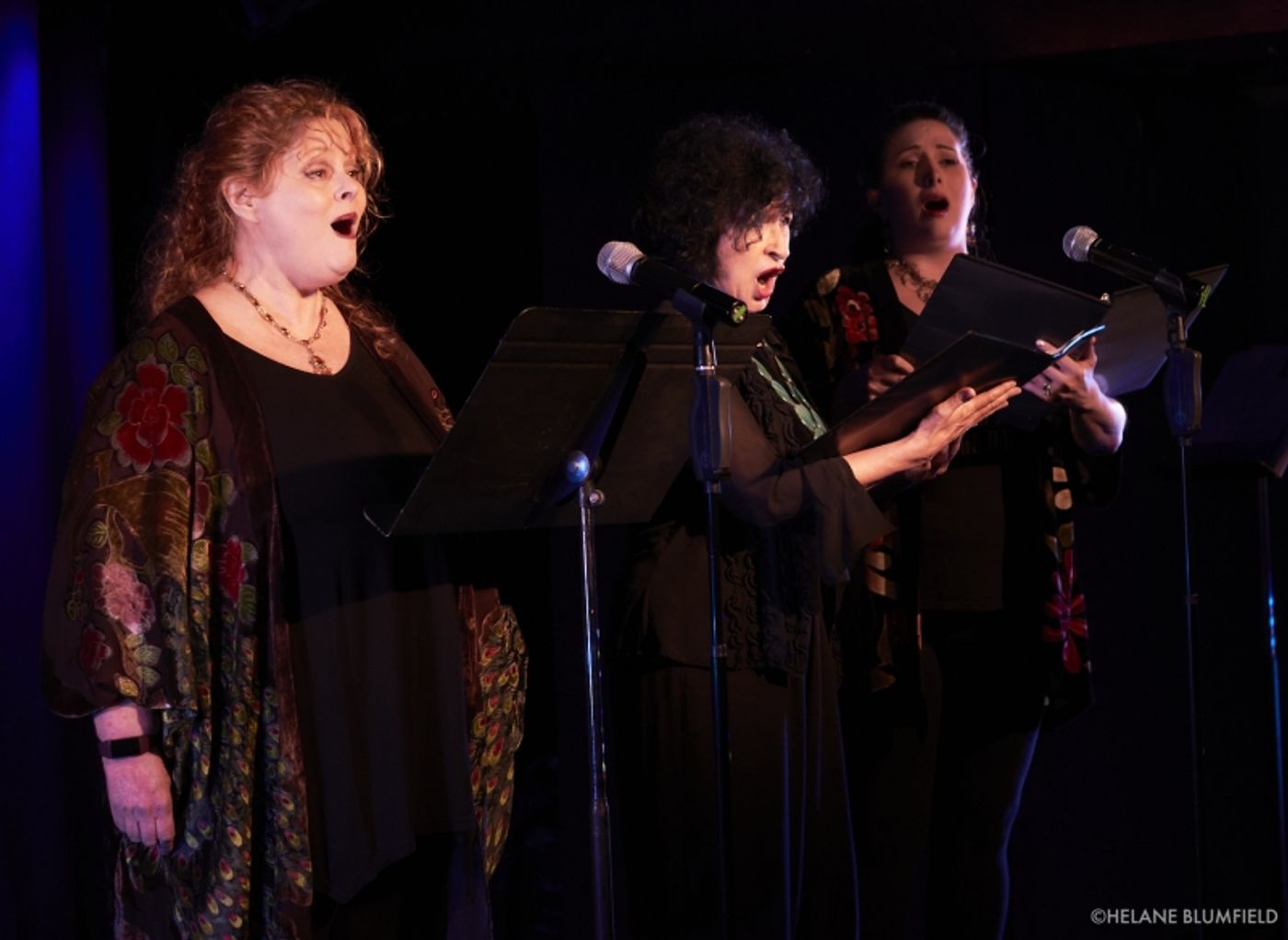 Photos: BLUE WAVE REUNION 2022: SAVE OUR DEMOCRACY FUNDRAISER at The Laurie Beechman Theatre by Helane Blumfield Photos: BLUE WAVE REUNION 2022: SAVE OUR DEMOCRACY FUNDRAISER at The Laurie Beechman Theatre by Helane Blumfield Image