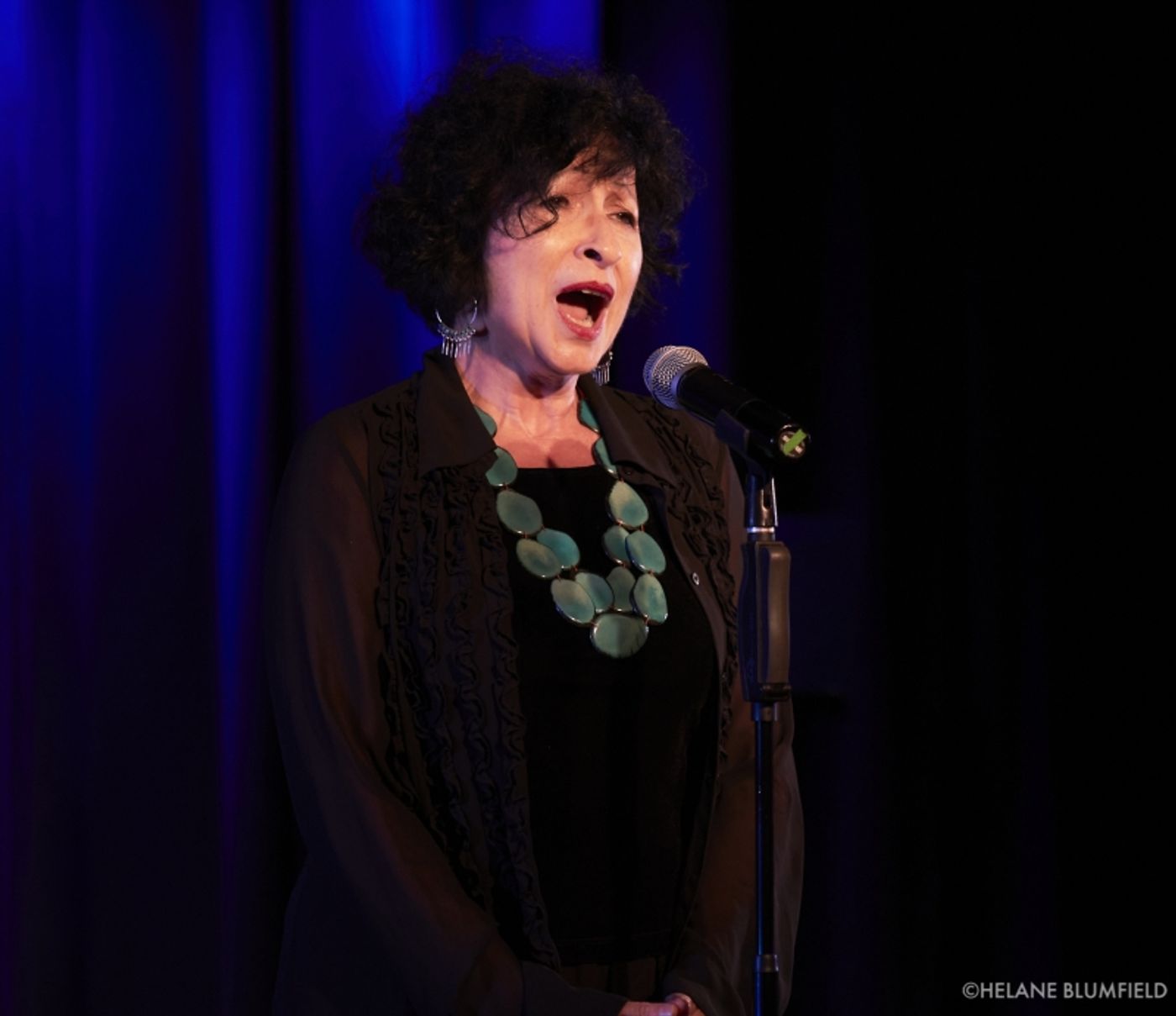 Photos: BLUE WAVE REUNION 2022: SAVE OUR DEMOCRACY FUNDRAISER at The Laurie Beechman Theatre by Helane Blumfield Photos: BLUE WAVE REUNION 2022: SAVE OUR DEMOCRACY FUNDRAISER at The Laurie Beechman Theatre by Helane Blumfield Image
