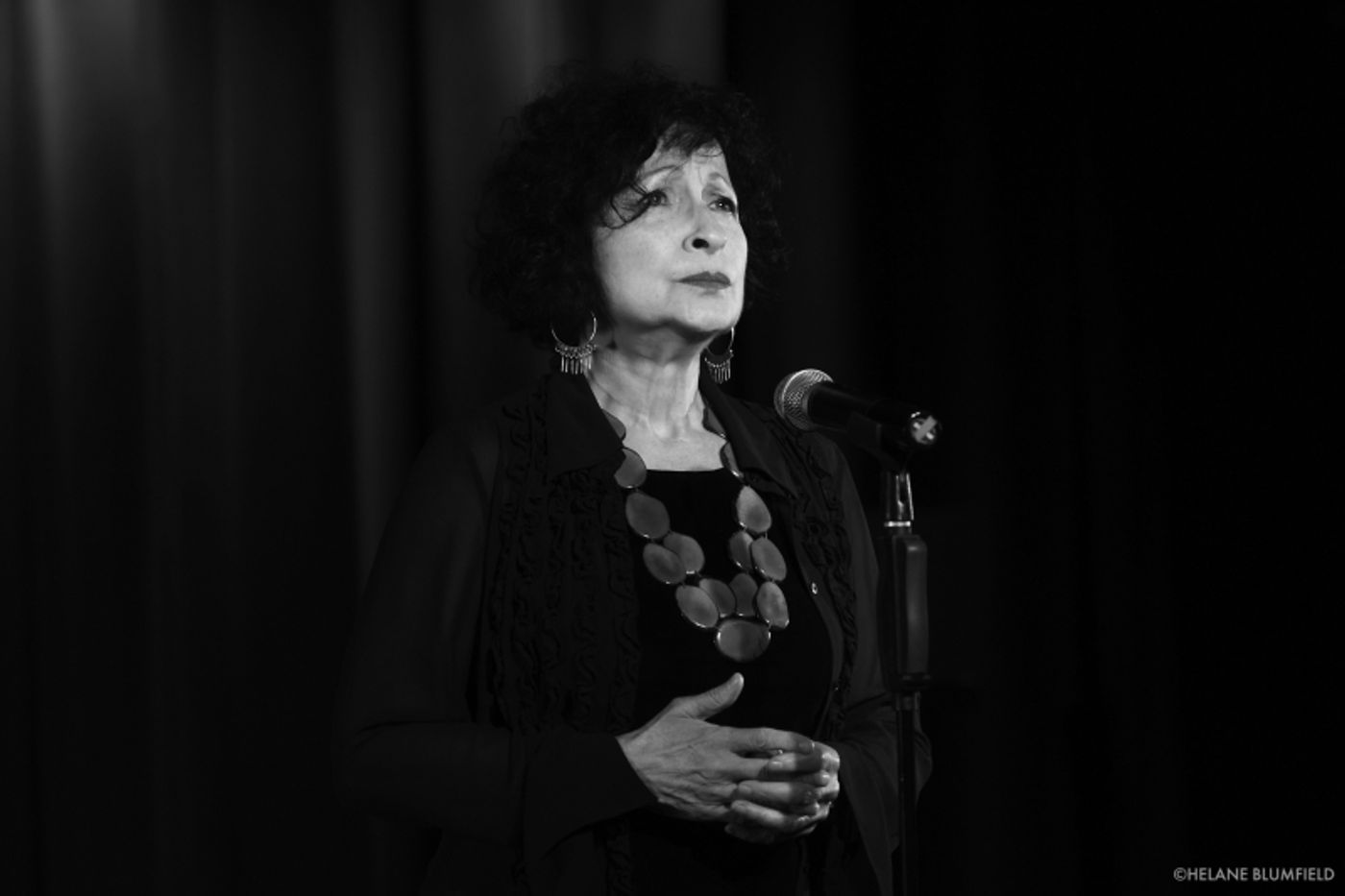 Photos: BLUE WAVE REUNION 2022: SAVE OUR DEMOCRACY FUNDRAISER at The Laurie Beechman Theatre by Helane Blumfield Photos: BLUE WAVE REUNION 2022: SAVE OUR DEMOCRACY FUNDRAISER at The Laurie Beechman Theatre by Helane Blumfield Image