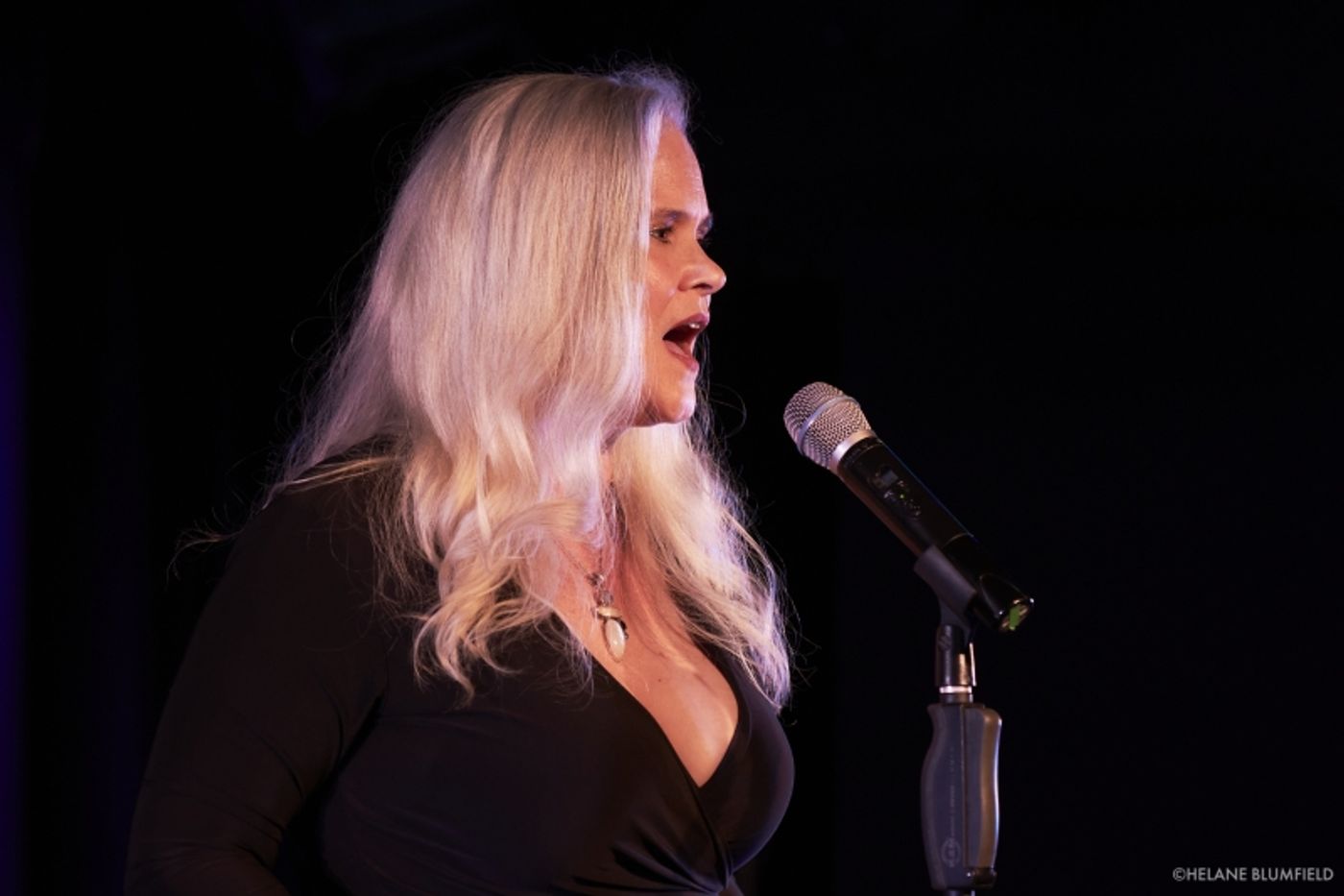 Photos: BLUE WAVE REUNION 2022: SAVE OUR DEMOCRACY FUNDRAISER at The Laurie Beechman Theatre by Helane Blumfield Photos: BLUE WAVE REUNION 2022: SAVE OUR DEMOCRACY FUNDRAISER at The Laurie Beechman Theatre by Helane Blumfield Image