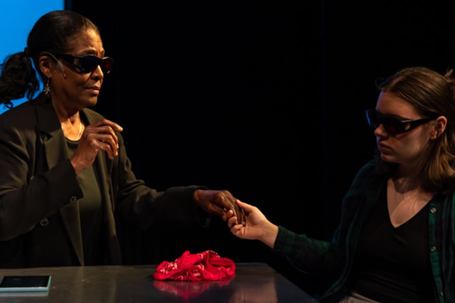 Photos: First look at Original Productions Theatre's VOICE OF THE NET Image