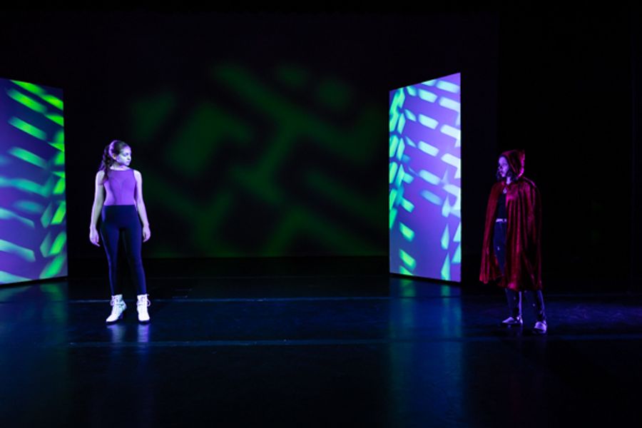Photos: First look at Original Productions Theatre's VOICE OF THE NET Image