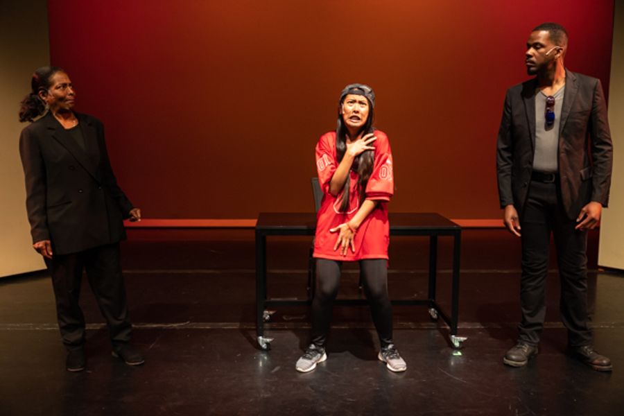 Photos: First look at Original Productions Theatre's VOICE OF THE NET Image