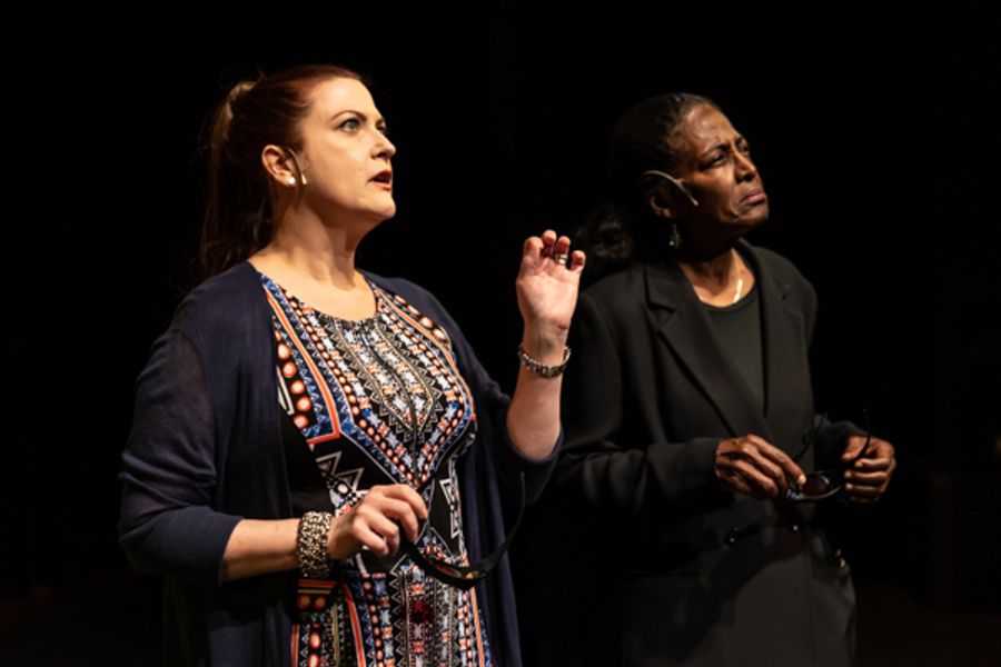 Photos: First look at Original Productions Theatre's VOICE OF THE NET Image
