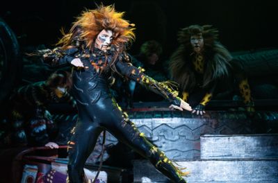 Aidan Pressel as Macavity.  Photo