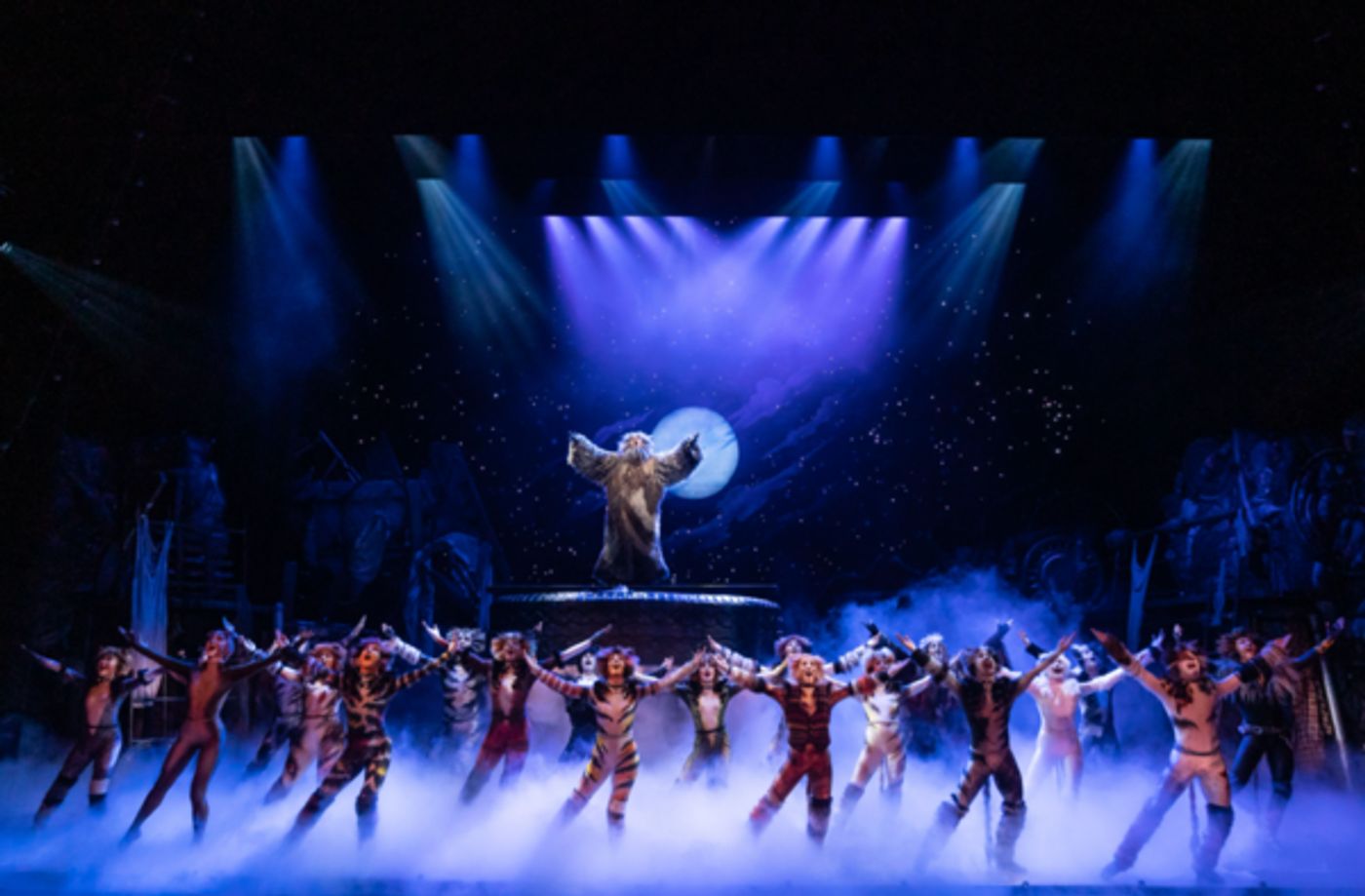 Photos: North American Tour of CATS Comes to Portland's Keller Auditorium Photos: North American Tour of CATS Comes to Portland's Keller Auditorium Image