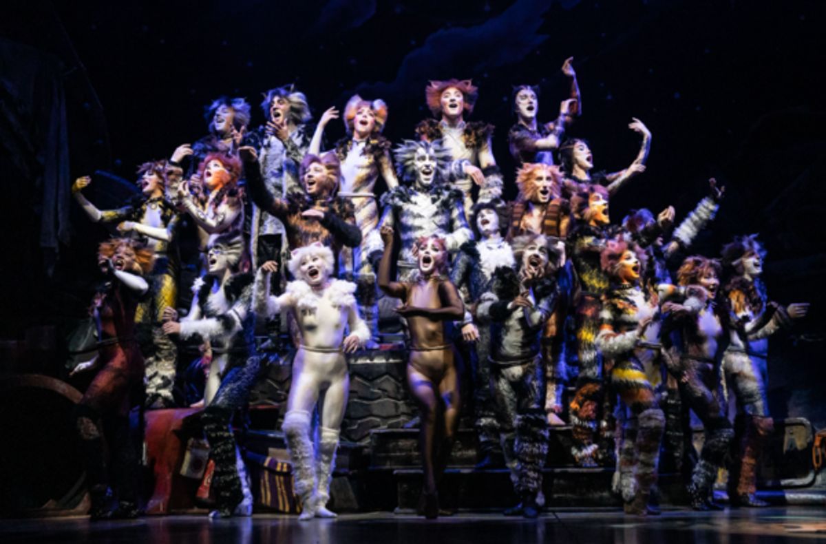 The company of the 2021-2022 national tour of CATS. at Photos: North American Tour of CATS Comes to Portland's Keller Auditorium