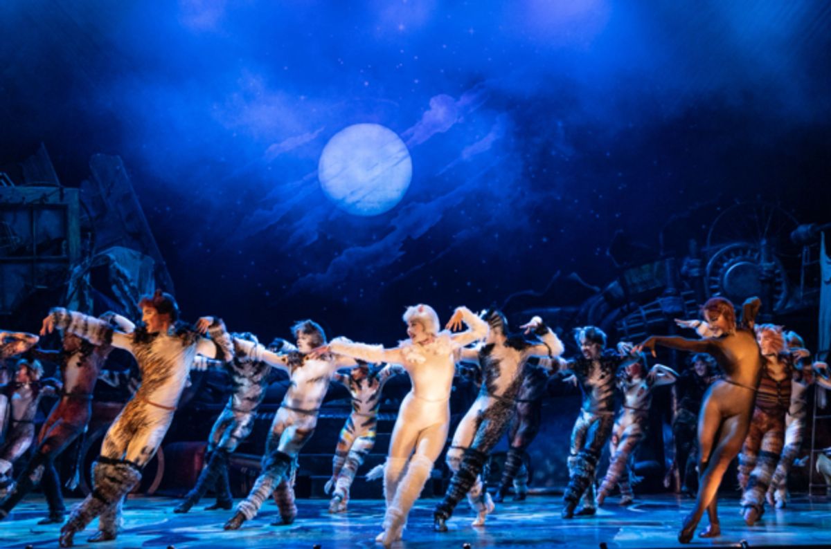 The company of the 2021-2022 national tour of CATS. at Photos: North American Tour of CATS Comes to Portland's Keller Auditorium