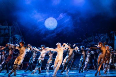 The company of the 2021-2022 national tour of CATS.  Photo