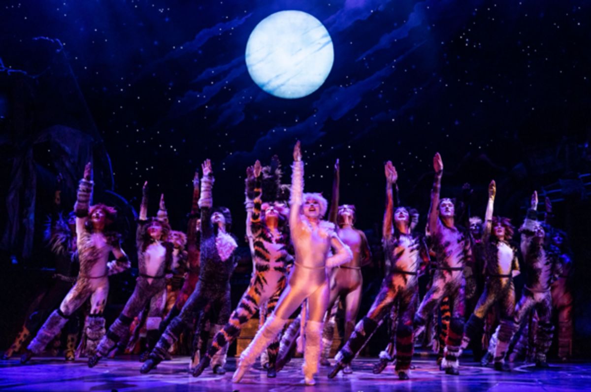 The company of the 2021-2022 national tour of CATS. at Photos: North American Tour of CATS Comes to Portland's Keller Auditorium