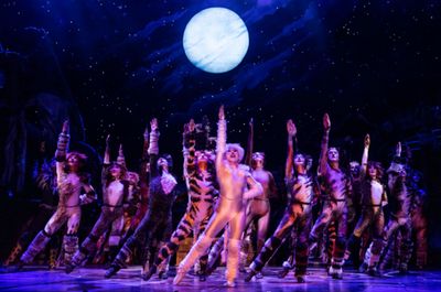 The company of the 2021-2022 national tour of CATS.  Photo