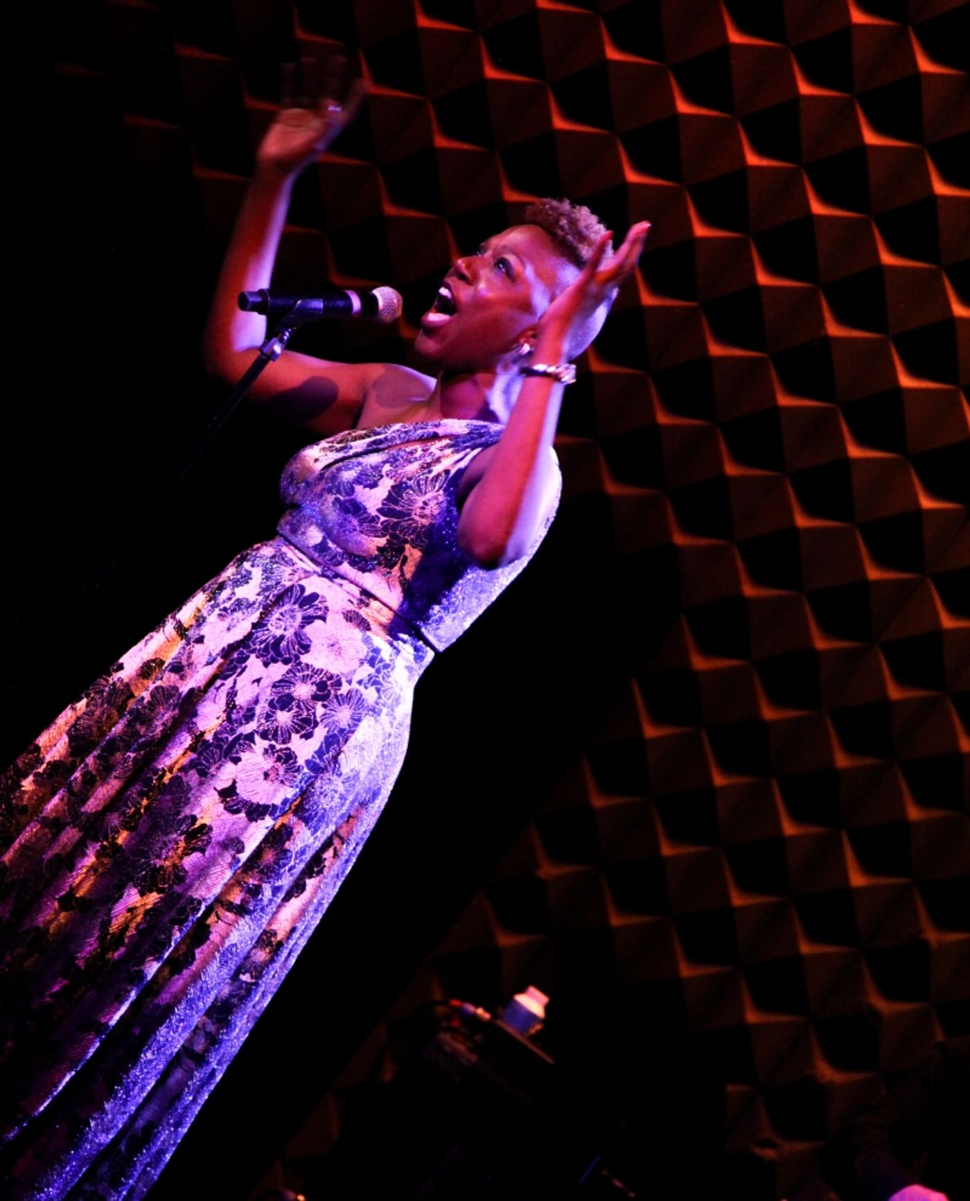 Review:  Spirits And Money Are Raised At The NIGHT OF A THOUSAND JUDYS Benefit for The Ali Forney Center at Joe's Pub  Image