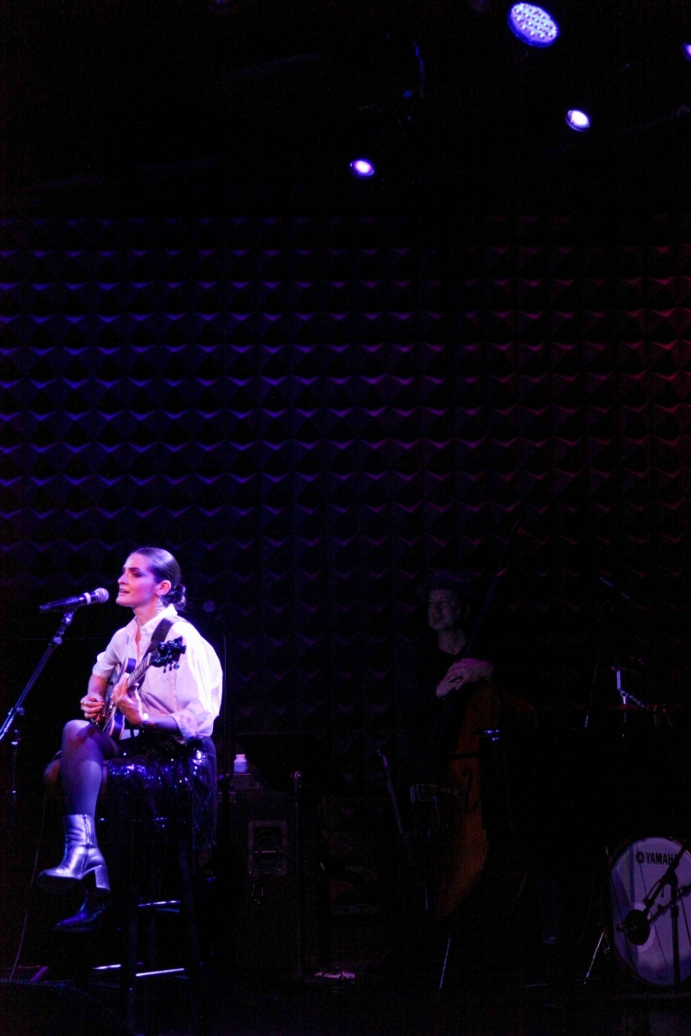 Review:  Spirits And Money Are Raised At The NIGHT OF A THOUSAND JUDYS Benefit for The Ali Forney Center at Joe's Pub  Image